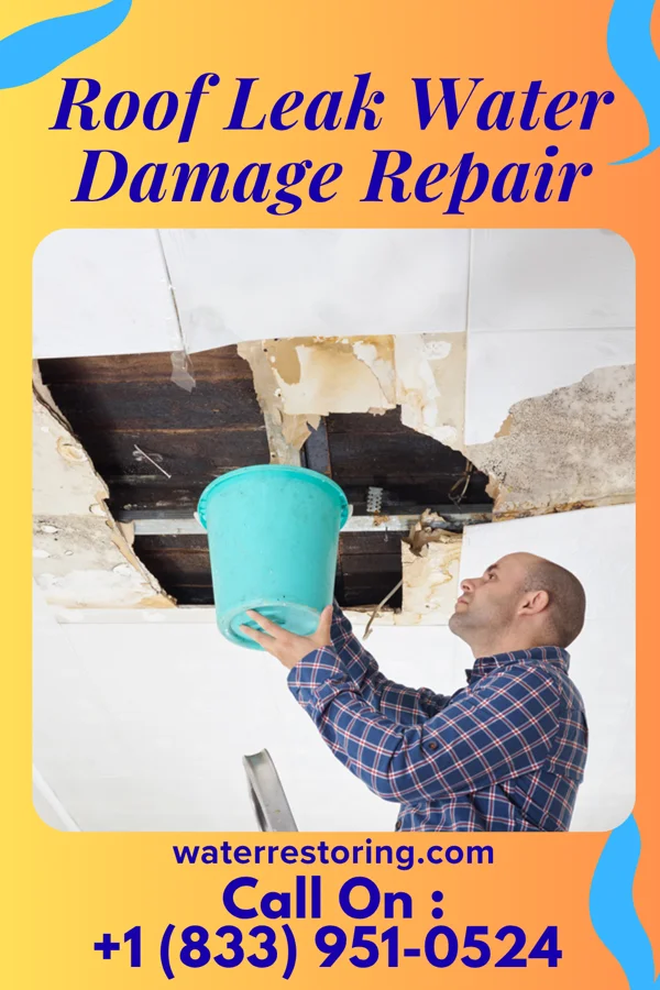 Roof Leak Water Damage Repair in Oronogo, MO