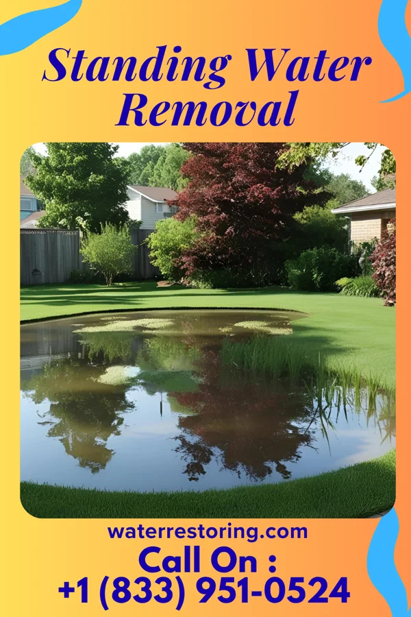 Standing Water Removal in Oronogo, MO